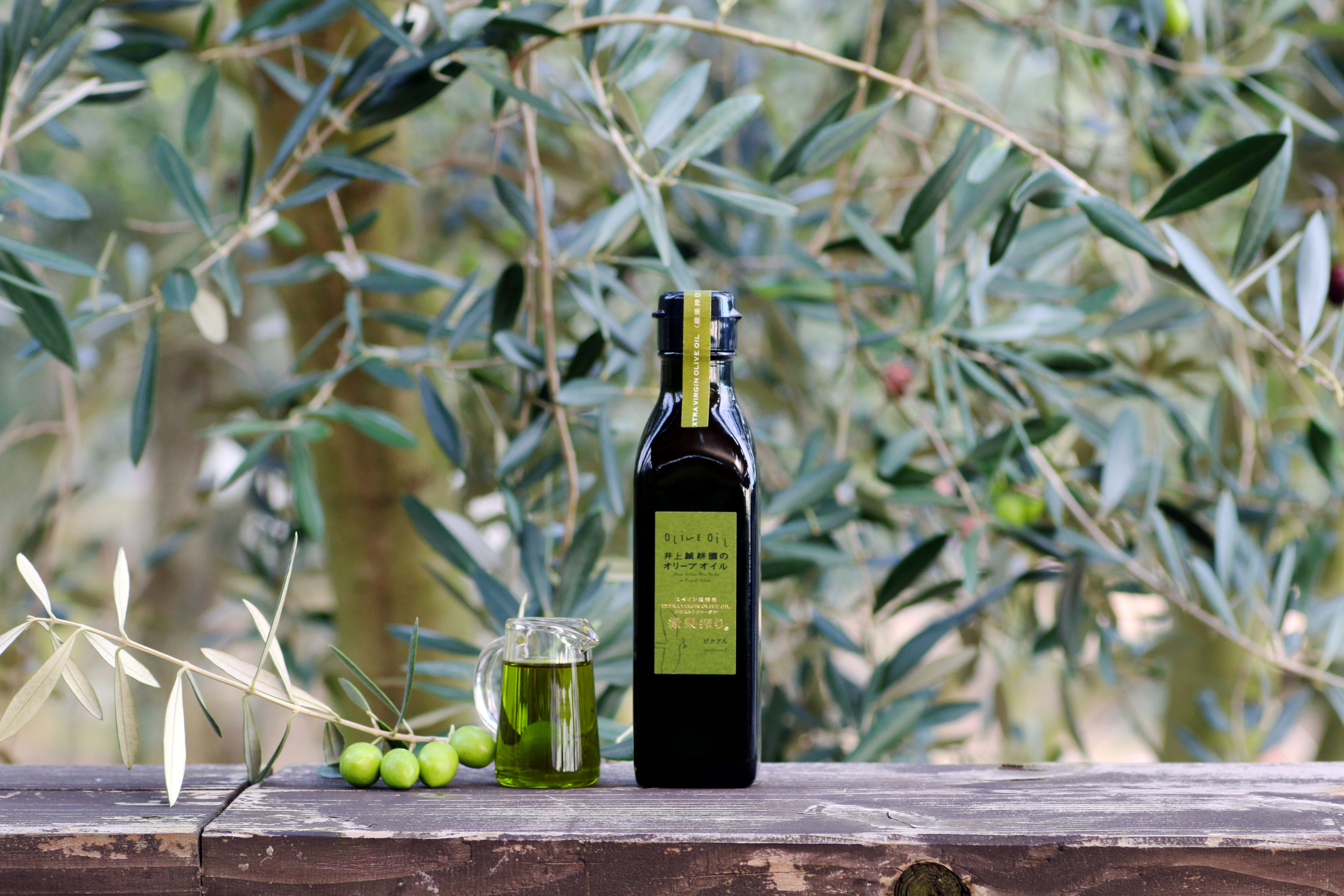 世界のオリーブ大生産地スペインで小豆島ならではのオリーブオイルづくりを「エキストラヴァージン緑果オリーブオイル」11月11日（月）より発売開始 |  メディアの皆様へ｜井上誠耕園