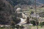IMG_5607
