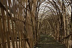 IMG_5621