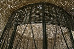 IMG_5644