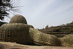 IMG_5654