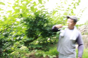 hama2IMG_0269