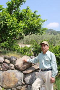 hujiwaraIMG_9413_edited-1