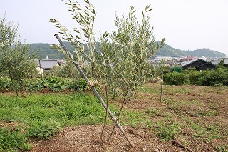 向きがとっても大切なんです