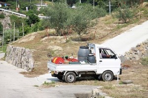 IMG_1969