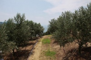 IMG_2202