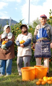jii二代目みかん(集合写真)