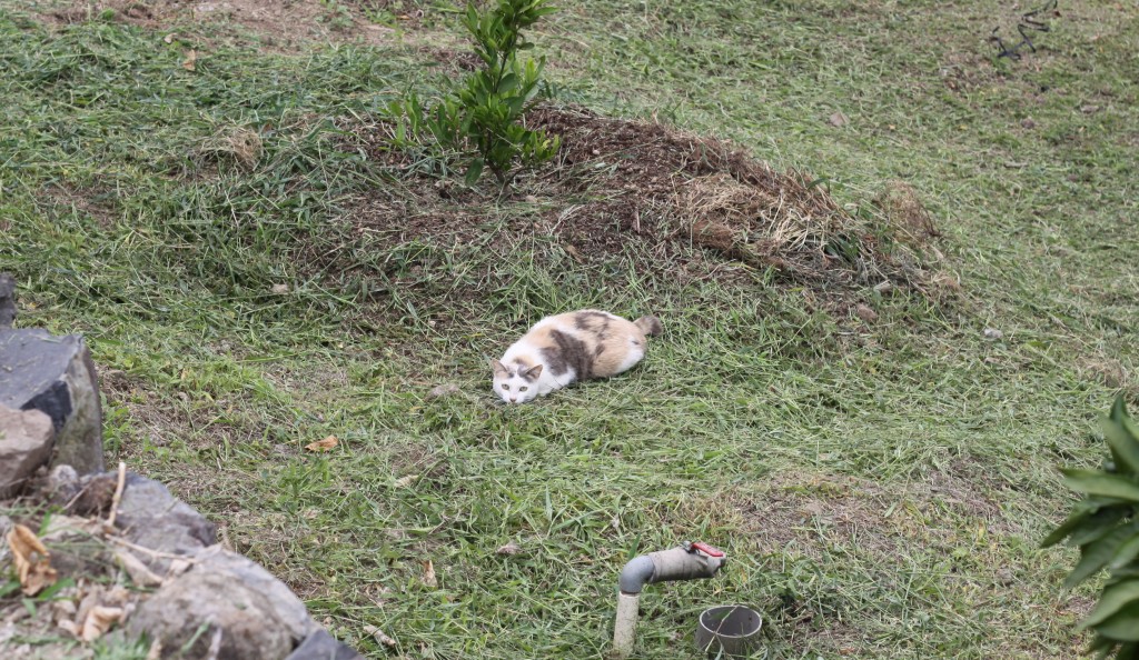 140617除草+休憩 116