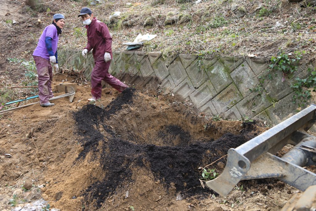 みかんの植え替え作業