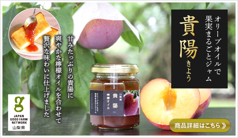 貴陽