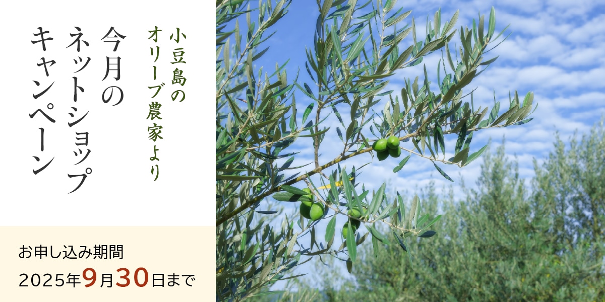 キャンペーン
