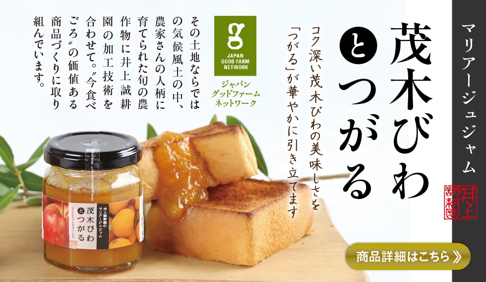 茂木びわとつがる