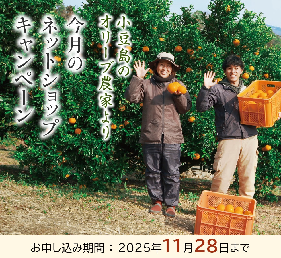 オリーブオイルを小豆島の自然農園「井上誠耕園」よりお届けします