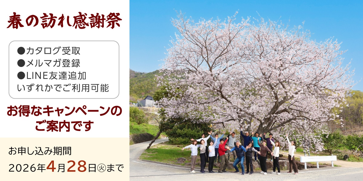 キャンペーン