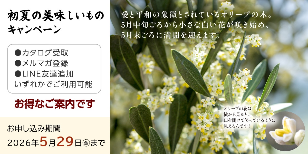 キャンペーン