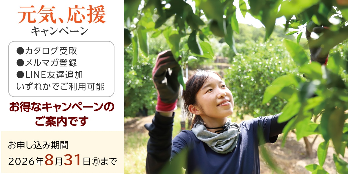 キャンペーン