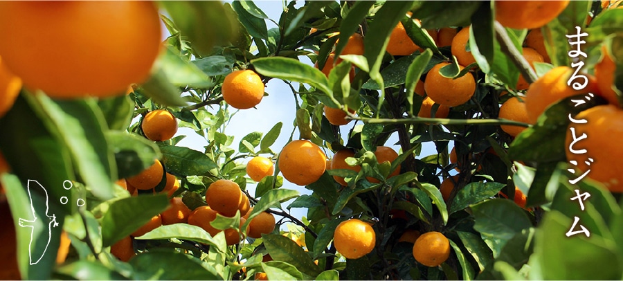 まるごとジャム