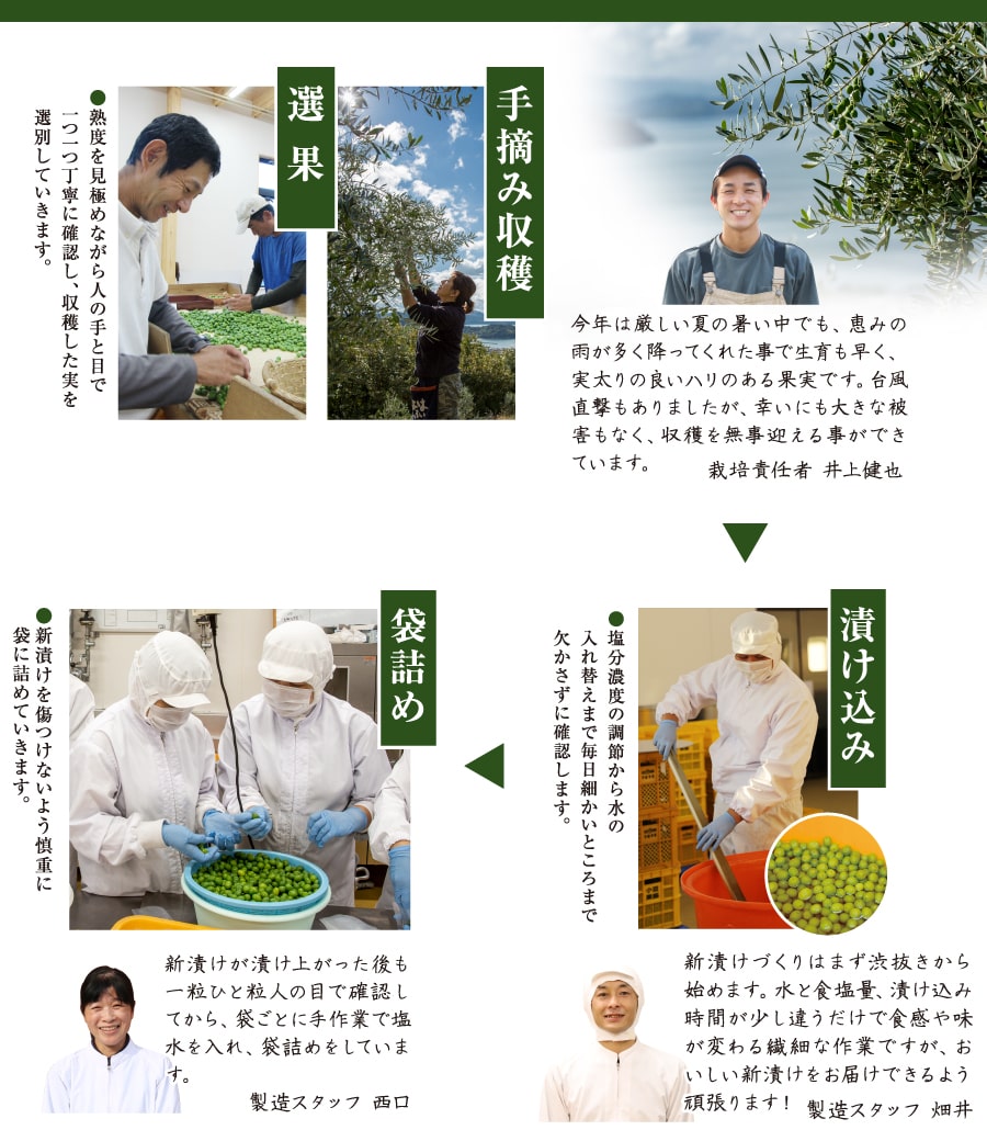 製造工程
