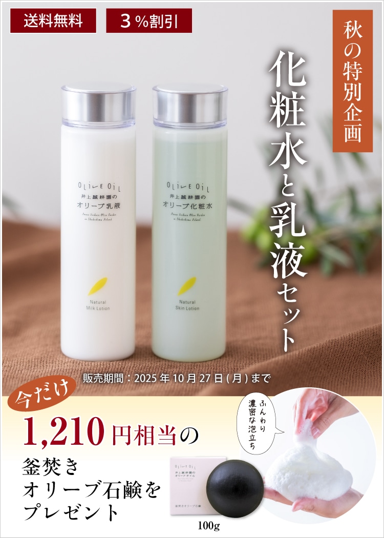 化粧水とし2本乳液2本ソープ２個 EVERSKIN (まとめ買いSALE) 化粧水 肌荒れ ニキビ 乳液 セット