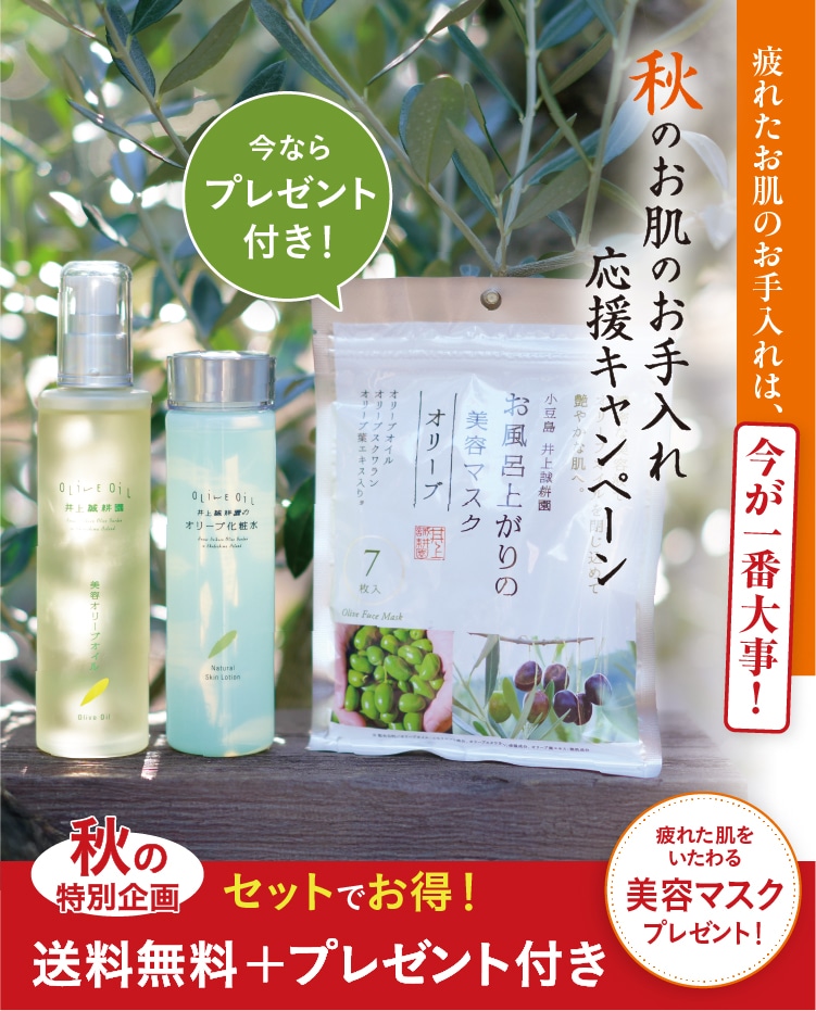 井上誠耕園の美容オリーブオイル（ポンプ付け替え用）120ml×3本セット
