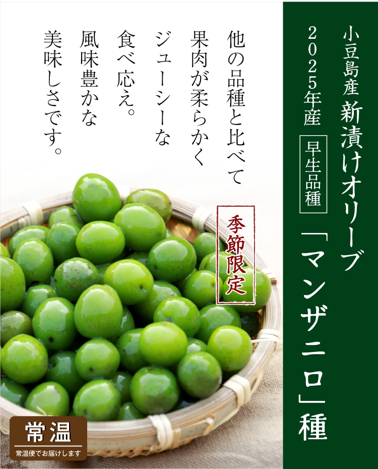 オリーブ　マンザニロ　2 オリーブの木 マンザニロ | 観葉植物 | 送料無料でお届け