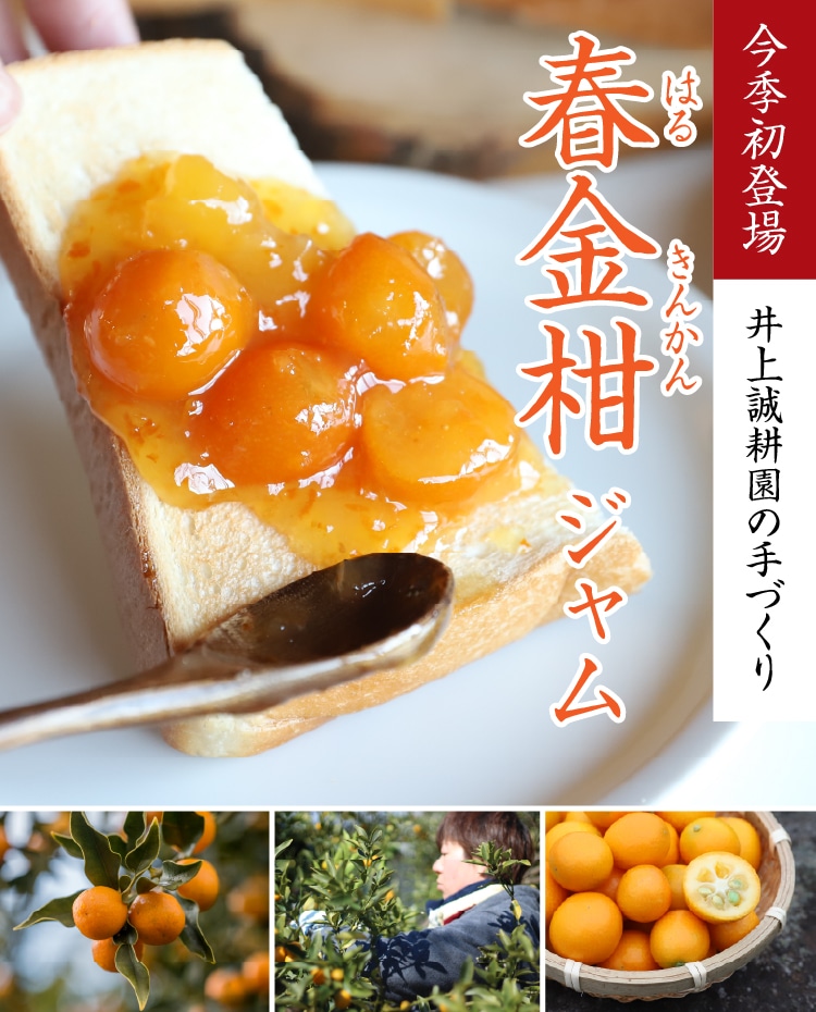 春金柑ジャム | 井上誠耕園