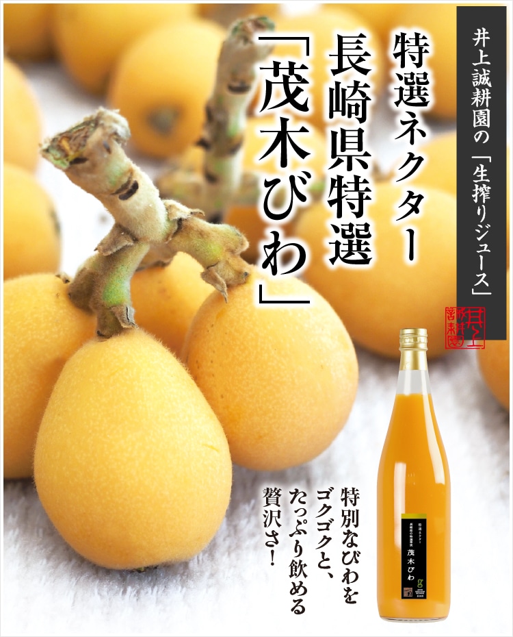 特選ネクター 長崎県特選「茂木びわ」 ｜ 井上誠耕園