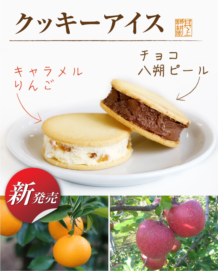 クッキーアイス | 井上誠耕園