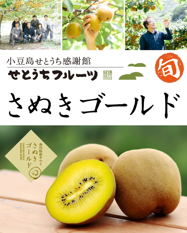 さぬきゴールド」キウイ 1.5kg: 小豆島せとうち感謝館｜オリーブオイル