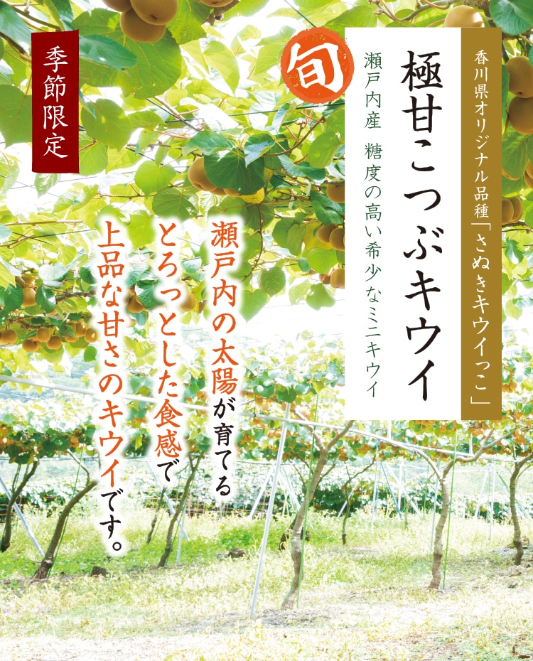 さぬきキウイっこ「極甘こつぶキウイ」｜ 小豆島せとうち感謝館