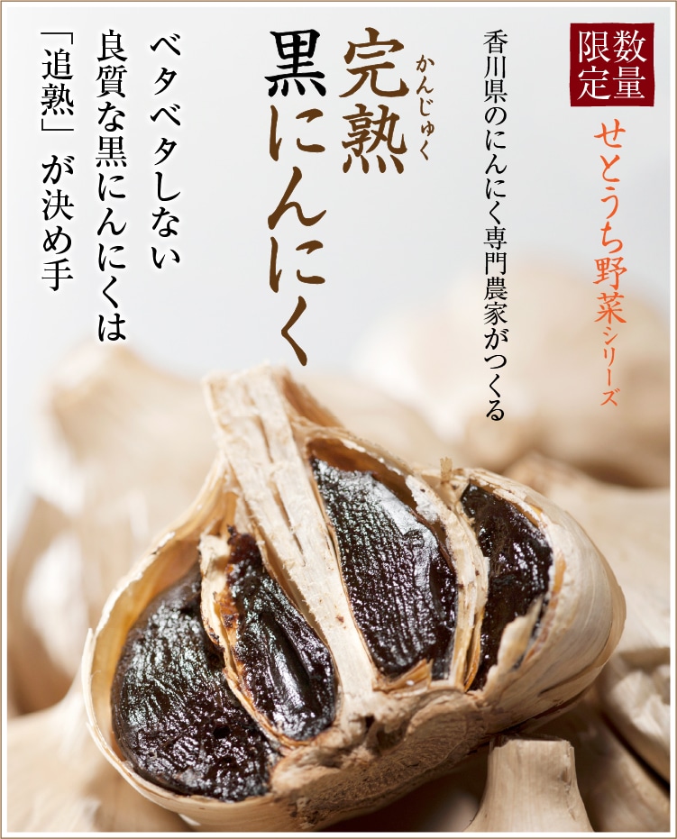 黒ニンニク　野菜　4キロ　香川県産