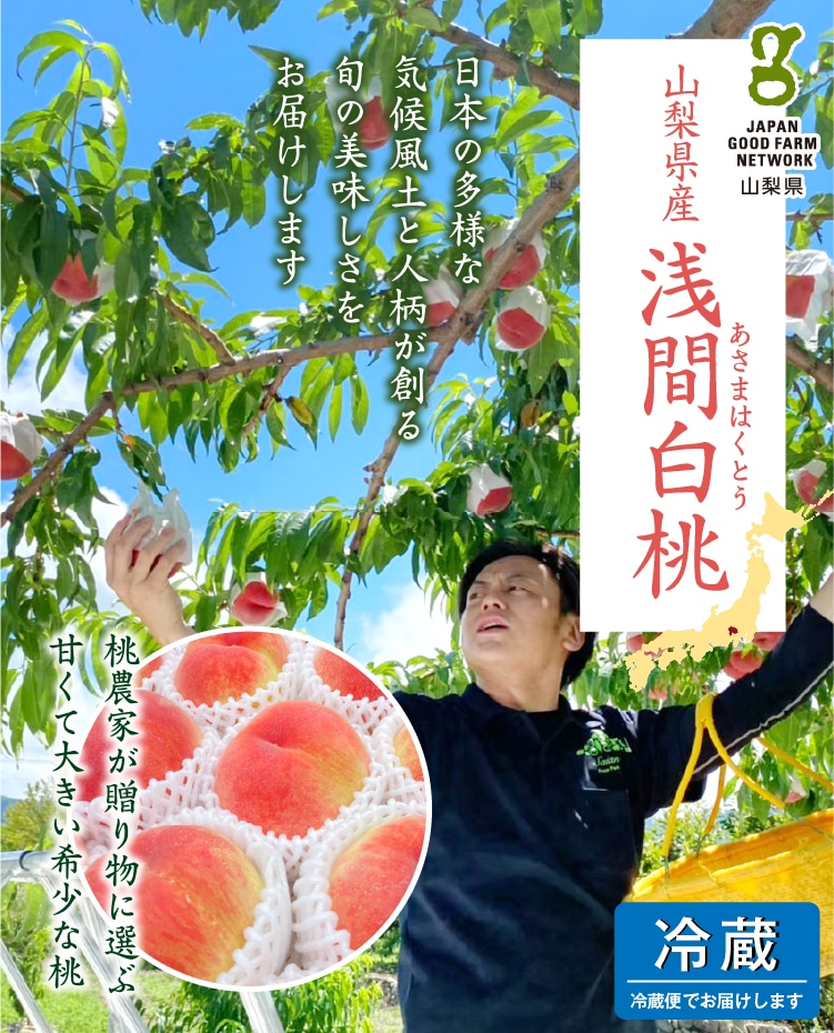 山梨県産 浅間白桃 浅間白桃（浅間白桃）| 井上誠耕園