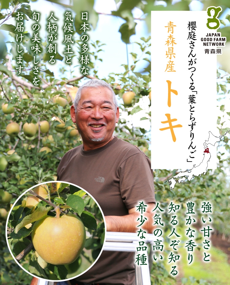 青森県産りんご「トキ」 ｜ 井上誠耕園