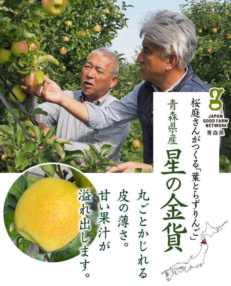 葉とらず 星の金貨(ほしのきんか) 11~13玉 | 井上誠耕園