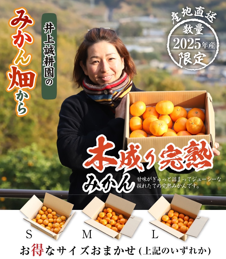 木成り完熟みかんサイズおまかせ・3kg