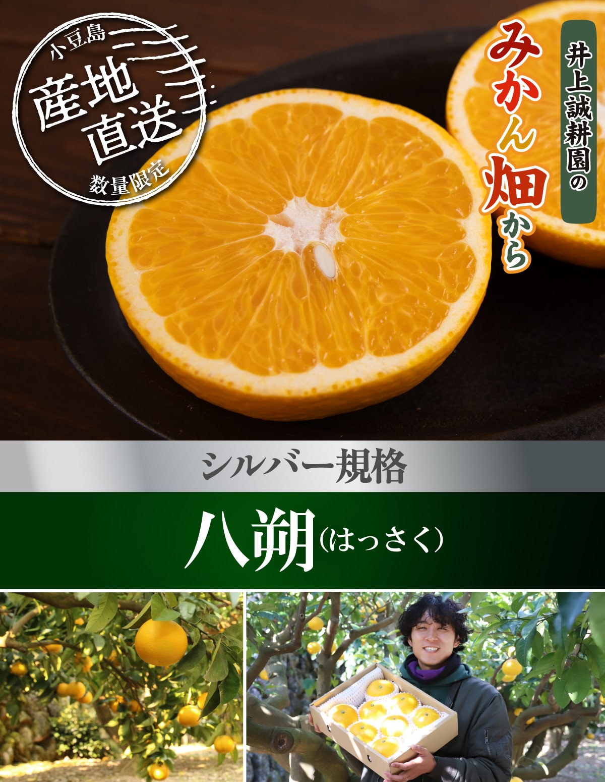 早生八朔　2Lサイズ以上　 20kg、6 早生八朔 2Lサイズ以上20kg｜Yahoo!フリマ（旧PayPayフリマ）