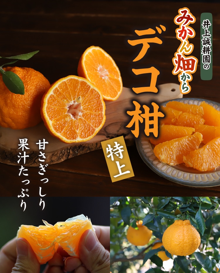 デコ柑 | 井上誠耕園