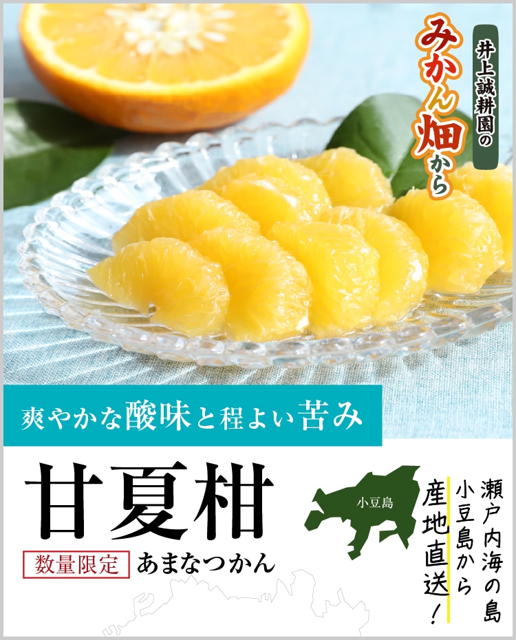 甘夏柑（あまなつかん）｜ 井上誠耕園