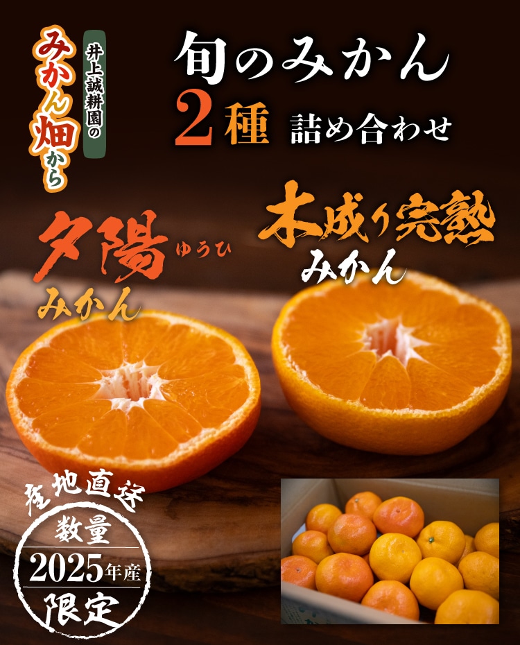 夕陽みかん・木成り完熟みかん 詰め合わせ ｜ 井上誠耕園