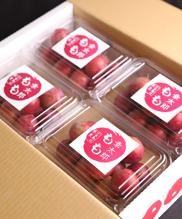 小豆島の原木「幸太郎もも」 約10玉×4パック 1.2kg