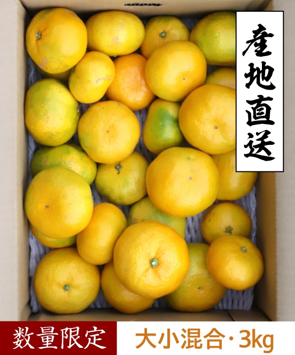 早もぎみかん(3kg・大小混合) 3㎏・大小混合