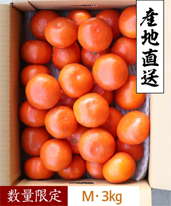 夕陽みかんM・3kg M・3kg
