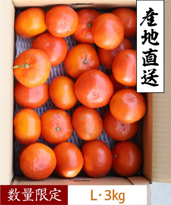 夕陽みかんL・3kg L・3kg