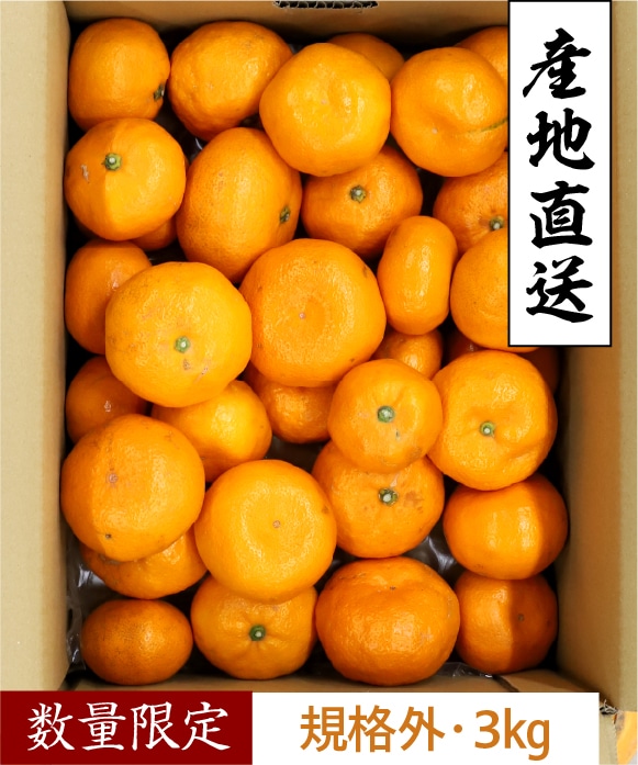 蔵出しみかん規格外・3kg 規格外・3kg