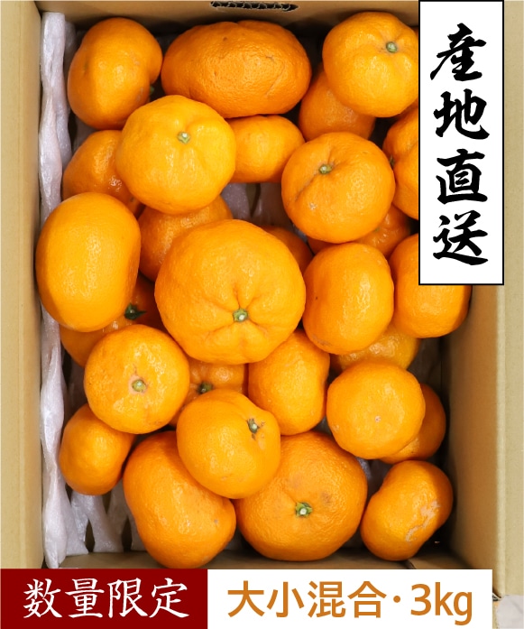 蔵出しみかん大小混合・3kg 大小混合・3kg