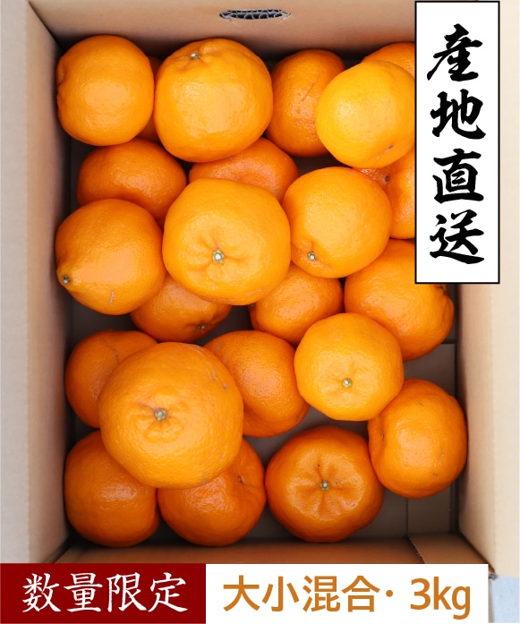 ポンカン 大小混合 3kg