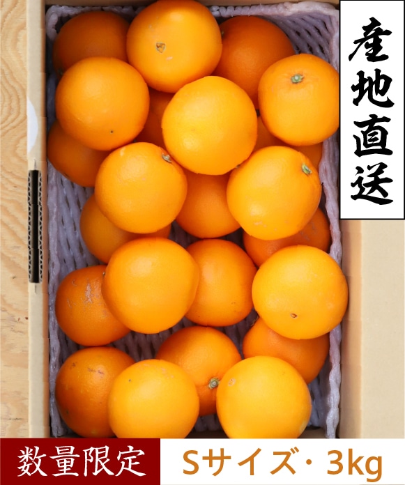 ネーブルオレンジ　Sサイズ　3kg(約24玉) Sサイズ3kg(約24玉)