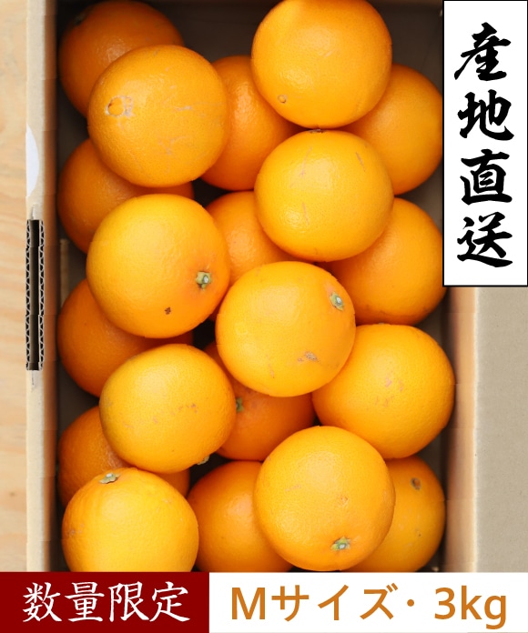 ネーブルオレンジ Mサイズ 3kg(約19玉) Mサイズ3kg(約19玉)
