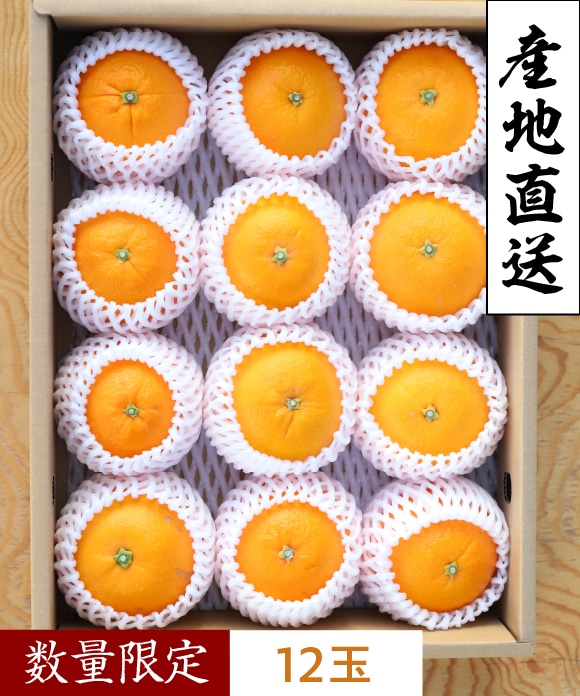 ネーブルオレンジ　ゴールド規格 ゴールド規格(約12玉)