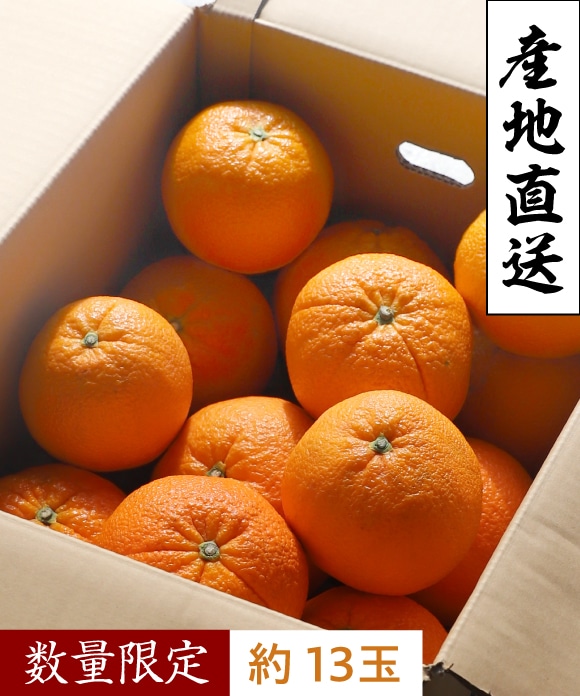 ネーブルオレンジ 8kg 特玉 おすそ分け袋なし